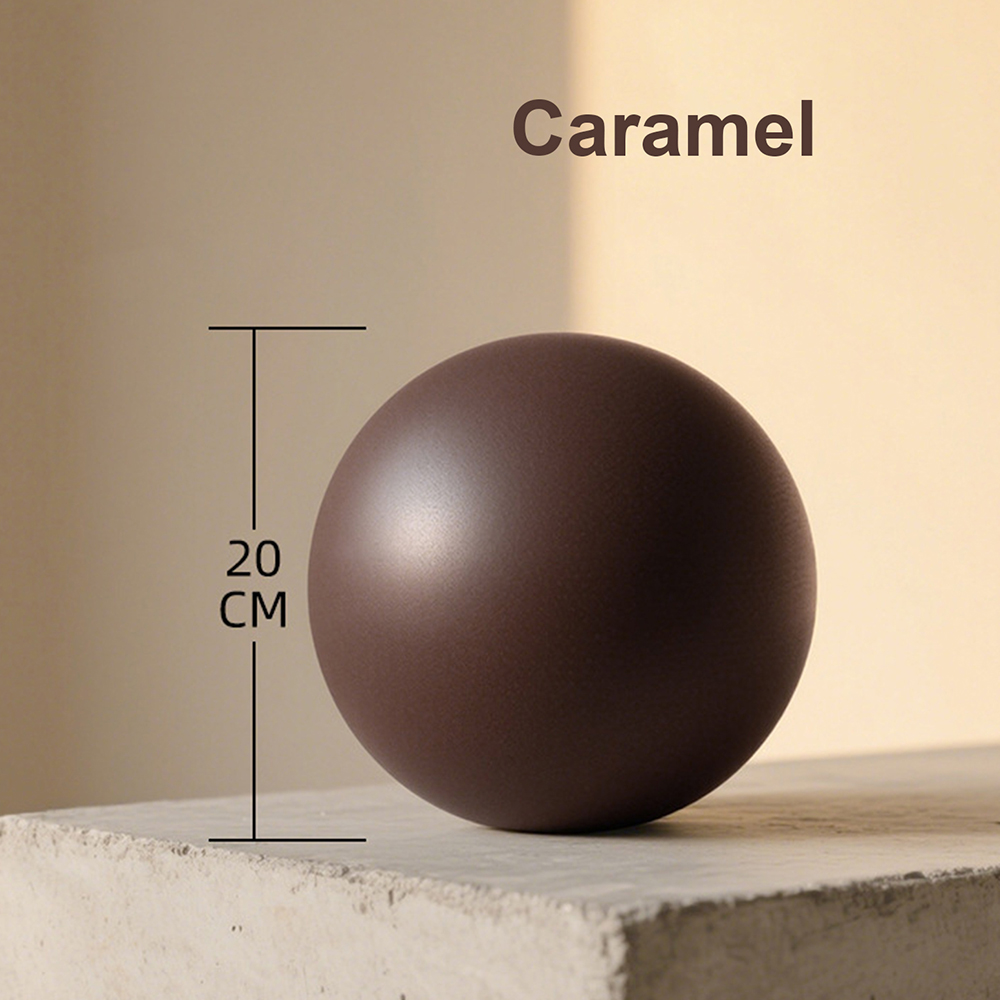 20cm Matte Exercise Ball Barre - Pilates Yoga Core บทวิจารณ์และราคา