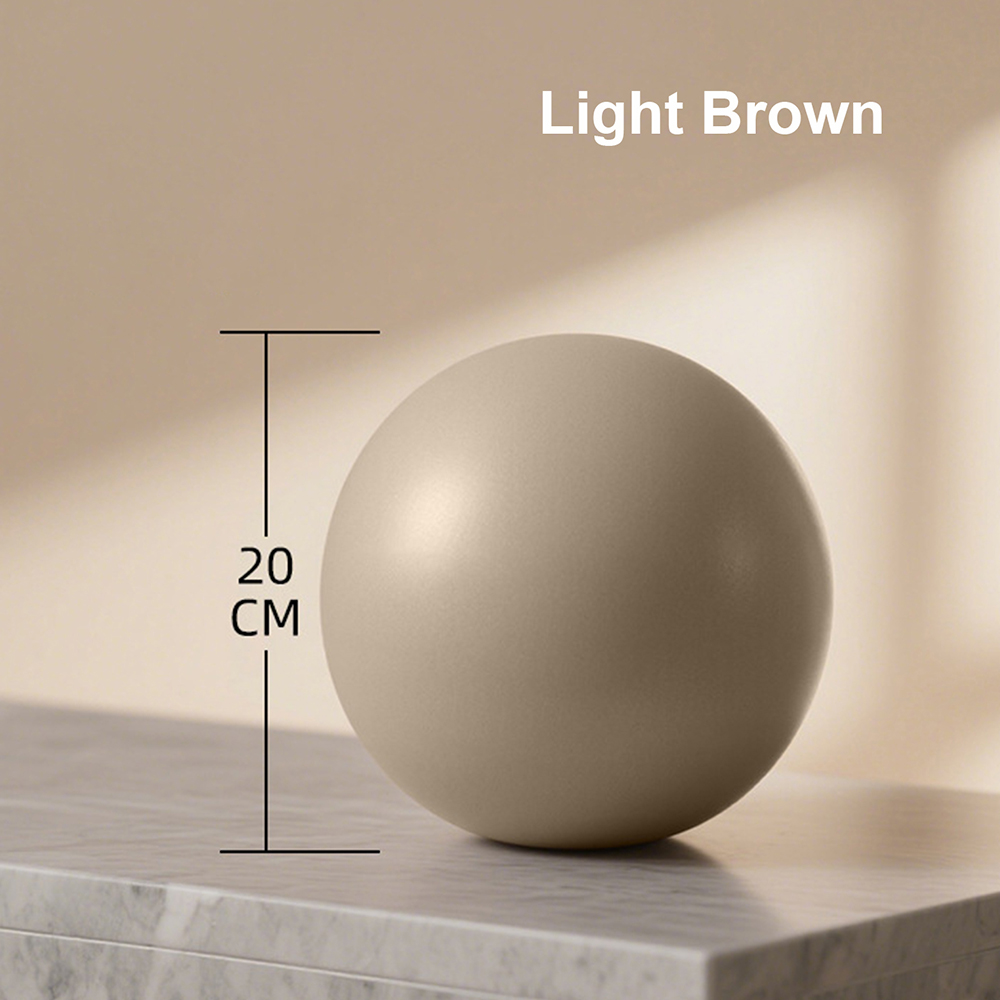 20cm Matte Exercise Ball Barre - Pilates Yoga Core บทวิจารณ์และราคา